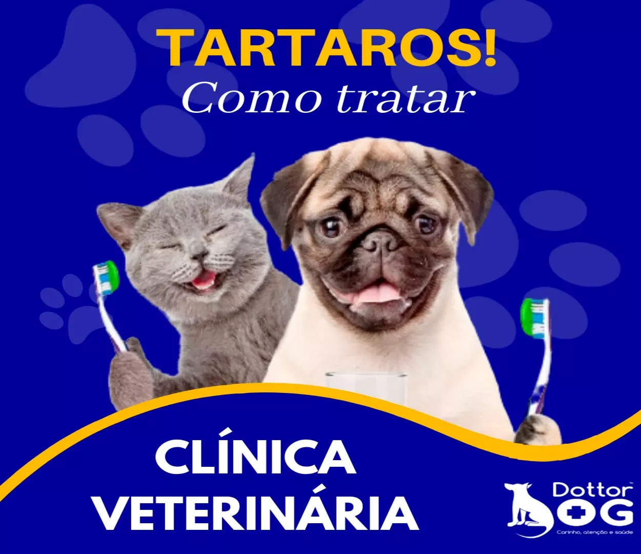 A IMPORTÂNCIA DA PROFILAXIA DENTÁRIA EM PETS